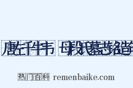 唐左千牛韦珮母段氏墓志铭造句是什么意思的图片